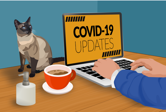 The Rise Of Entrepreneurship 